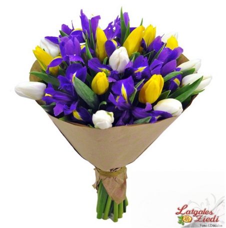 Apsveikuma pušķis 015