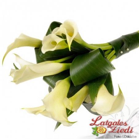 Apsveikuma pušķis 104