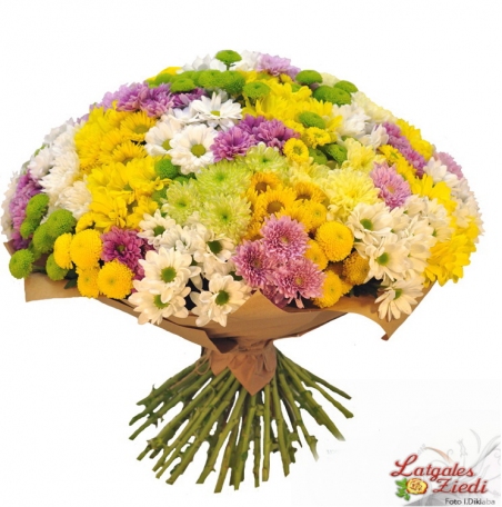 Apsveikuma pušķis 077