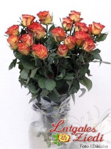 Apsveikuma pušķis 107