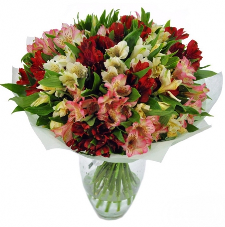 Apsveikuma pušķis 017