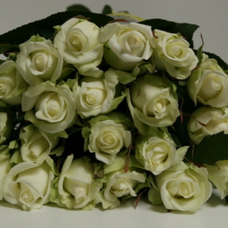 Ziedi - Rozes "Bjanka"