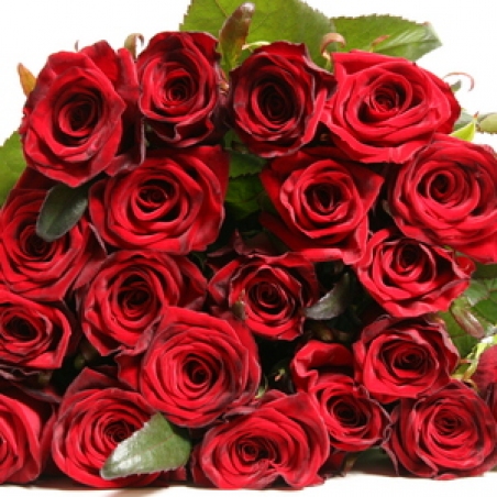 Ziedi - Rozes "Grand prix"