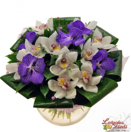 Apsveikuma pušķis 089