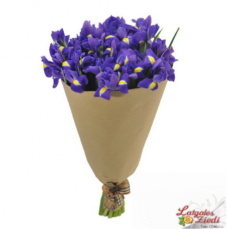 Apsveikuma pušķis 014